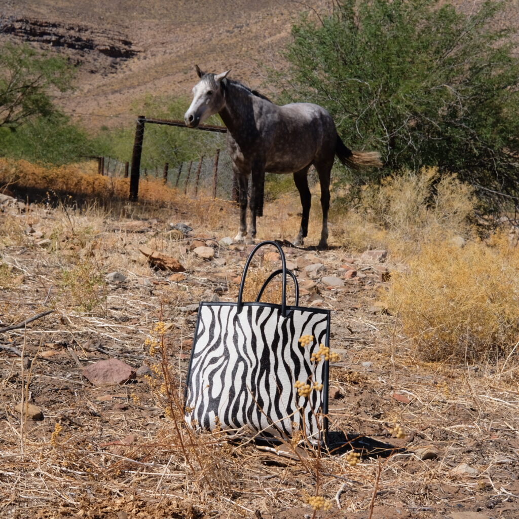 6C3D6B0E-BD33-44C3-AF9F-049C464AF08D-5231-0000016F3A731491